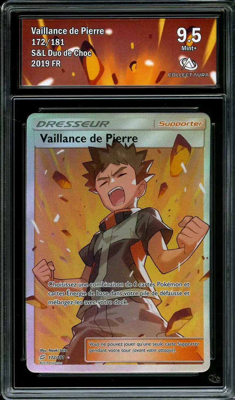 CA 9.5 Vaillance de Pierre