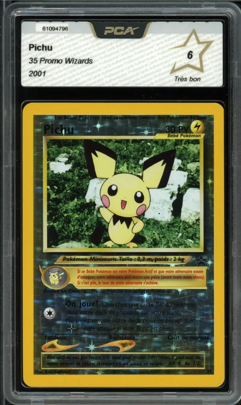 PCA 6 Pichu