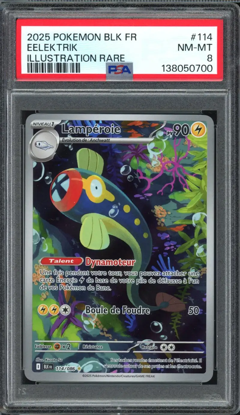 PSA 8 Lampéroie