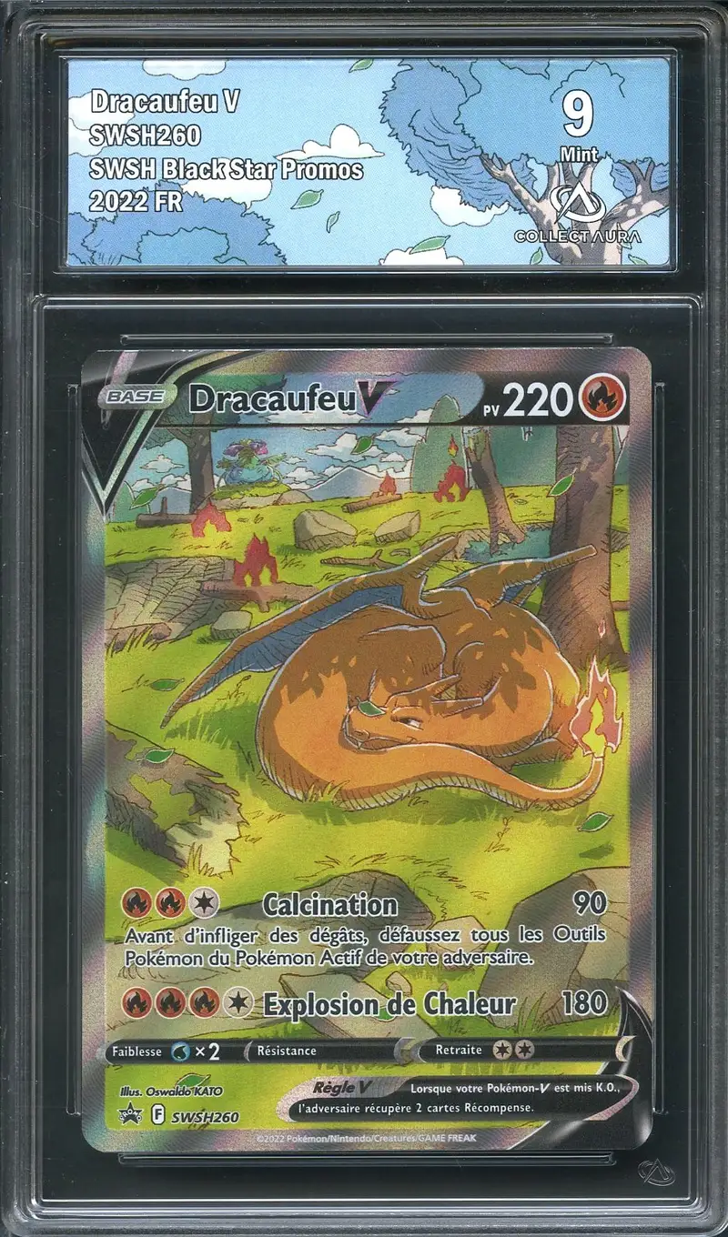 CA 9 Dracaufeu V