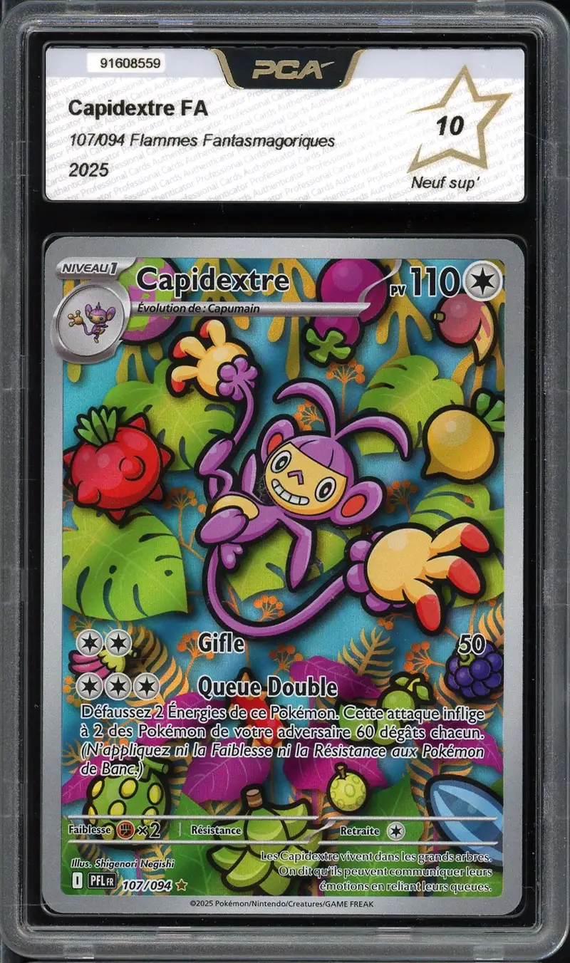 PCA 10 Capidextre