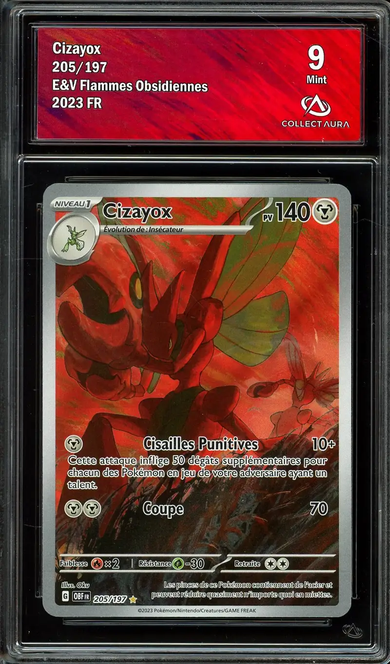CA 9 Cizayox