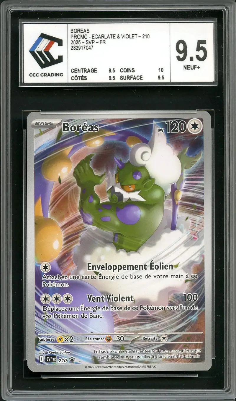 CCC 9.5 Boréas