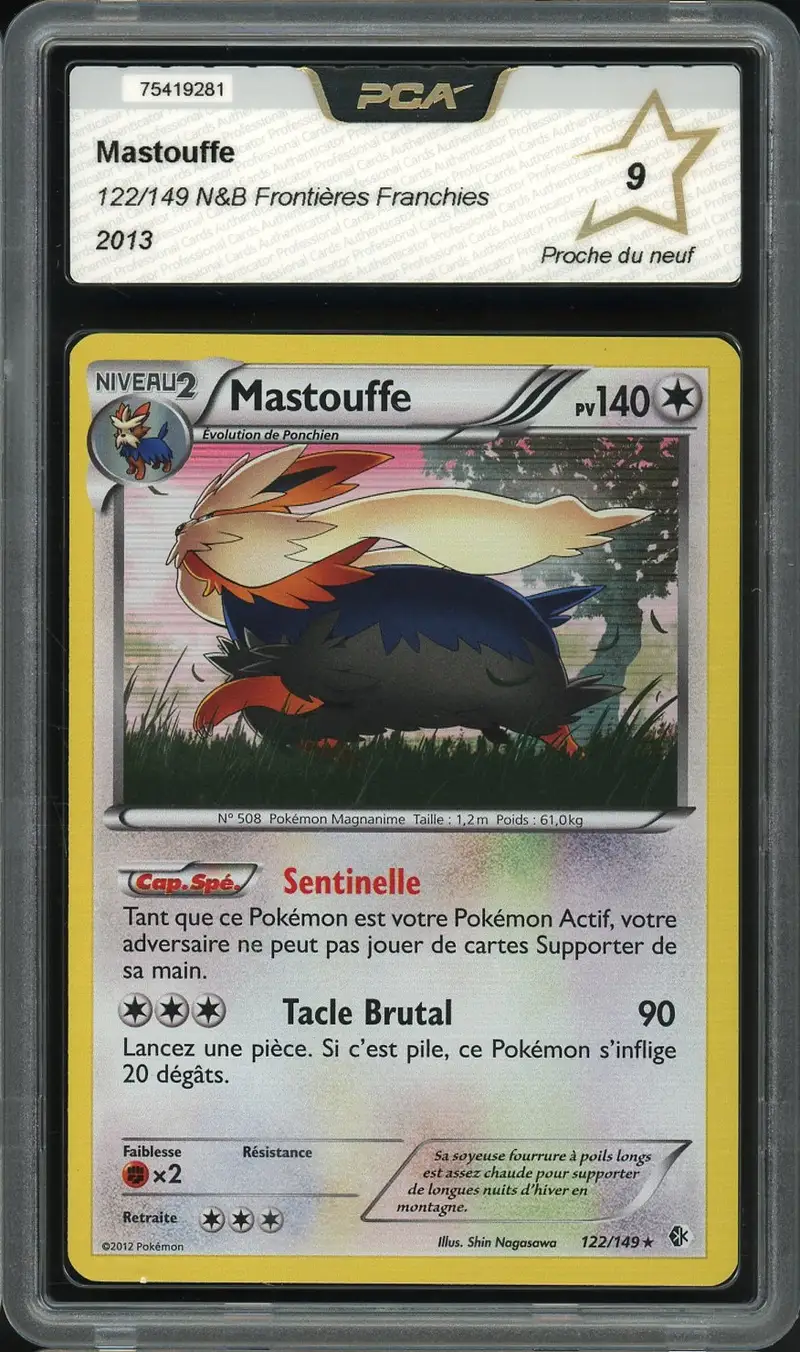 PCA 9 Mastouffe Holo