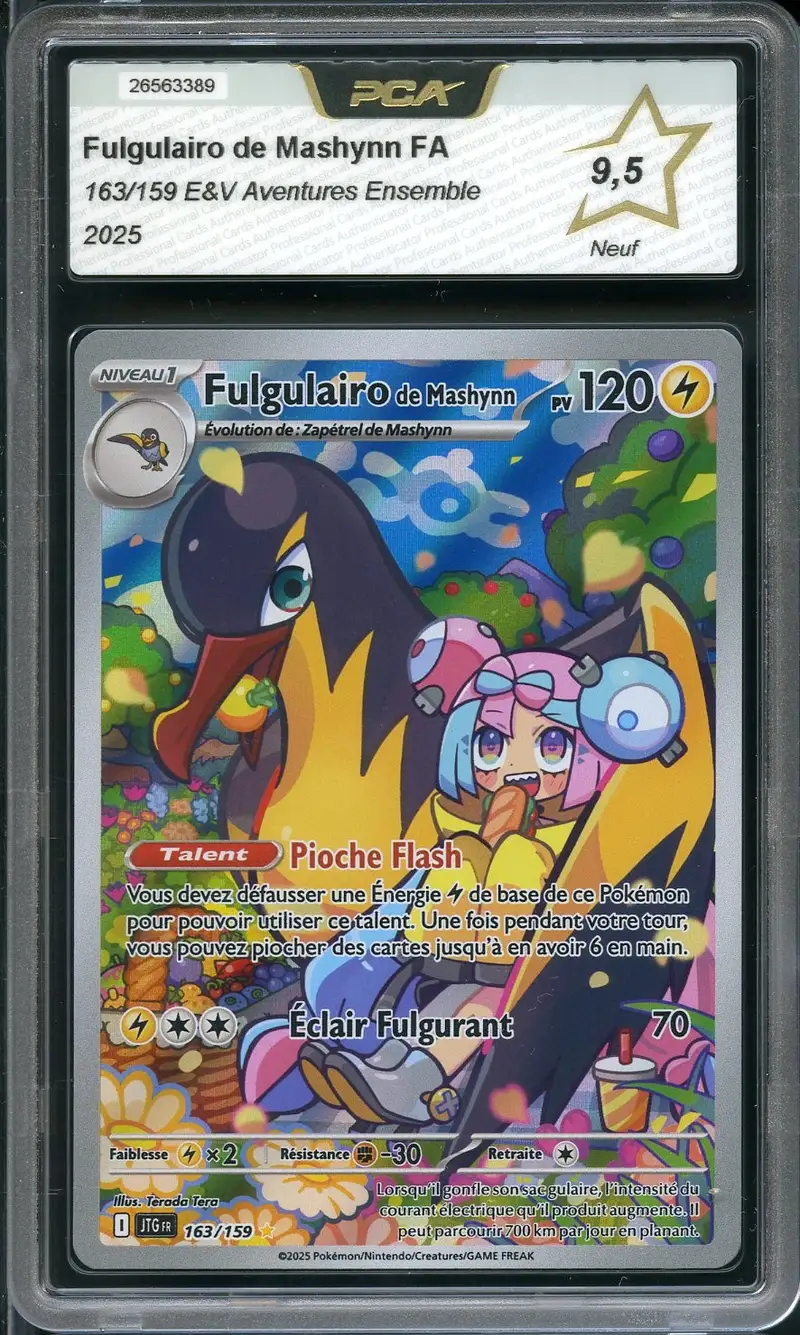 PCA 9.5 Fulgulairo de Mashynn