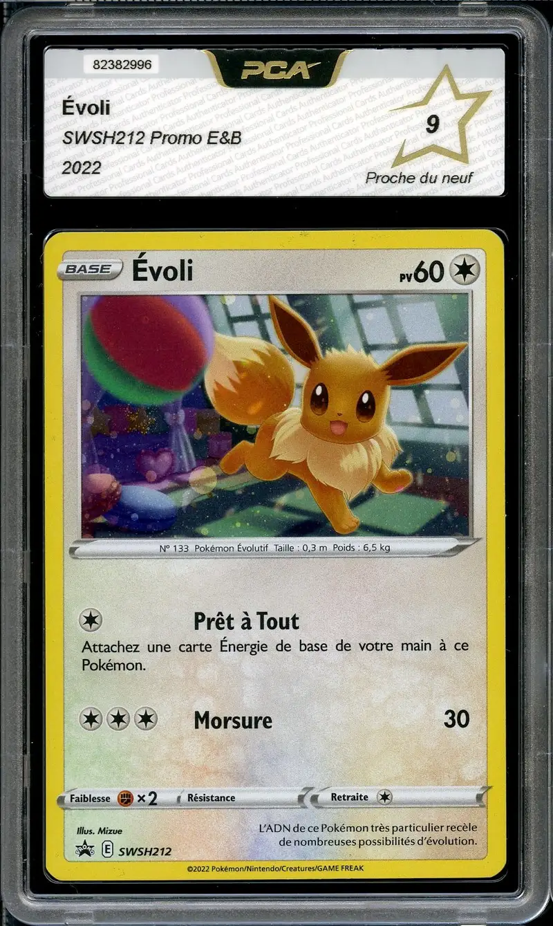 PCA 9 Evoli