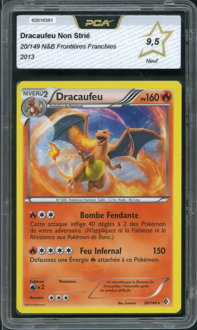 PCA 9.5 Dracaufeu Holo