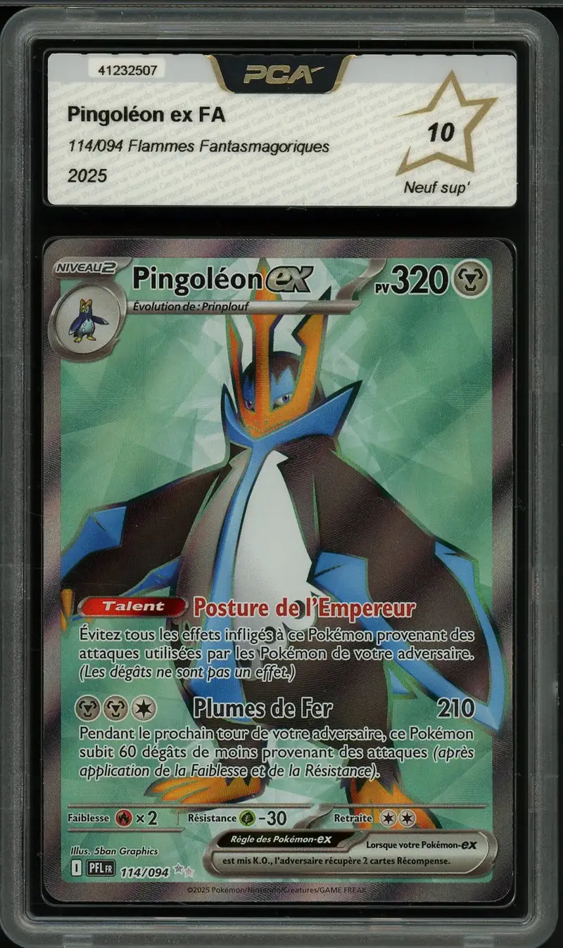 PCA 10 Pingoléon Ex