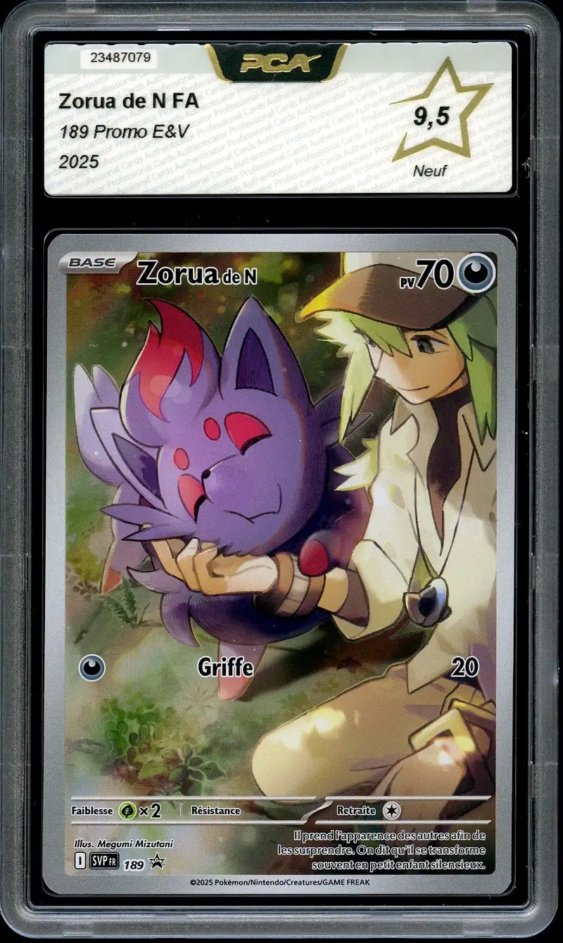 PCA 9.5 Zorua de N