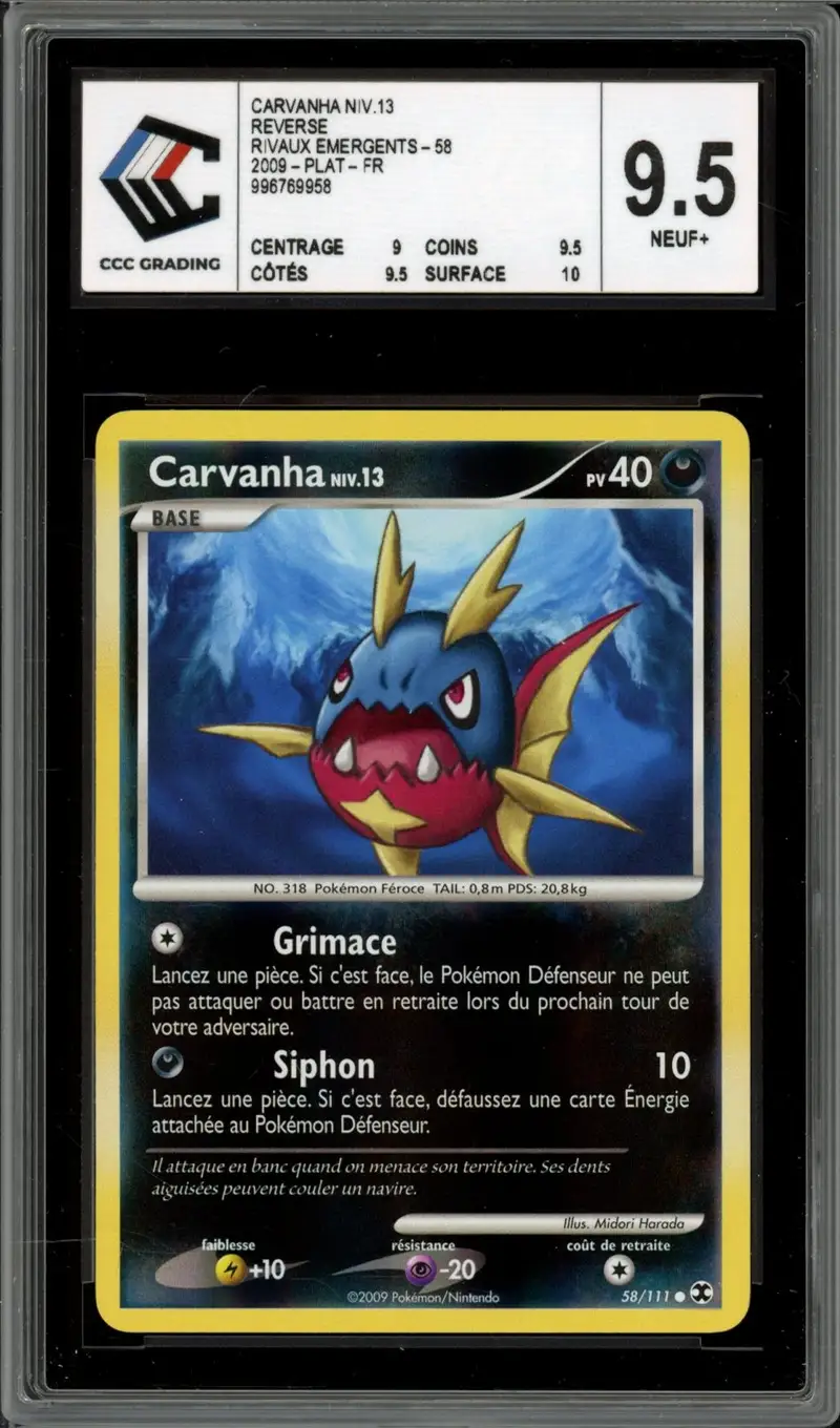 CCC 9.5 Carvanha Reverse