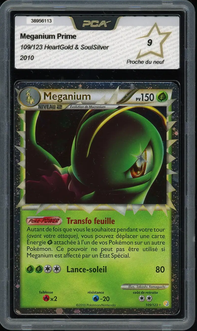 PCA 9 Meganium Prime