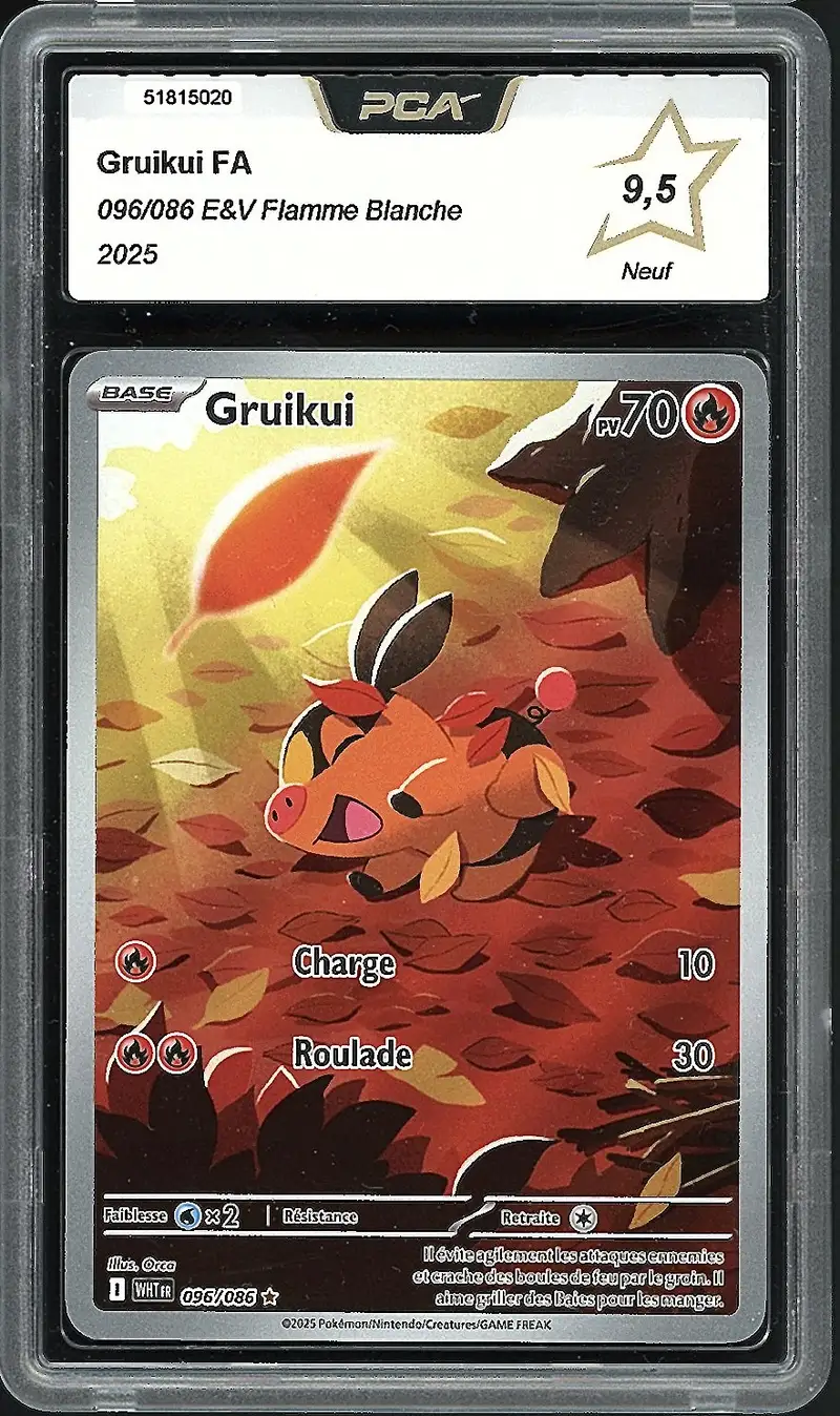 PCA 9.5 Gruikui