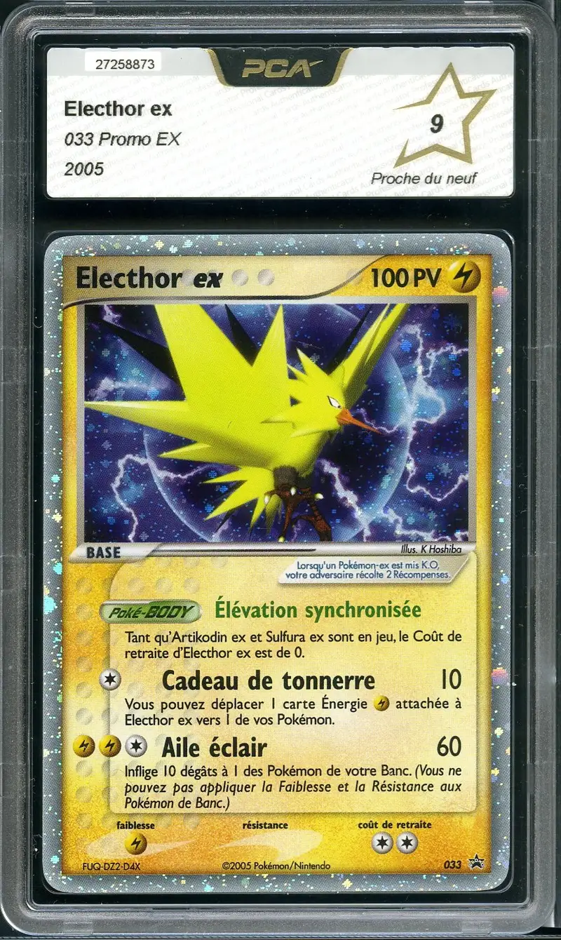 PCA 9 Electhor Ex