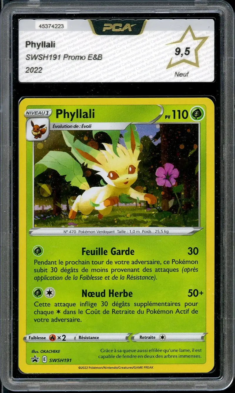 PCA 9.5 Phyllali holo