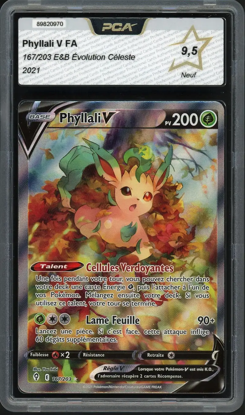 PCA 9.5 Phyllali V