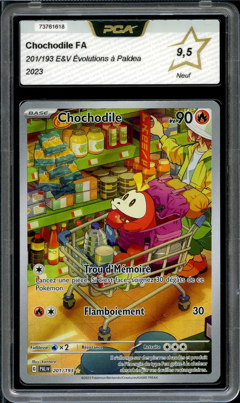 PCA 9.5 Chochodile