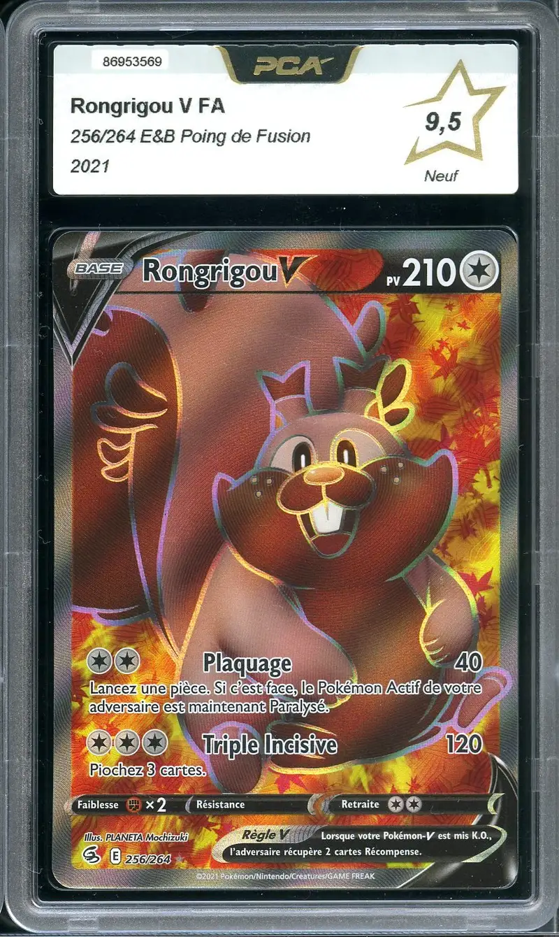 PCA 9.5 Rongrigou V