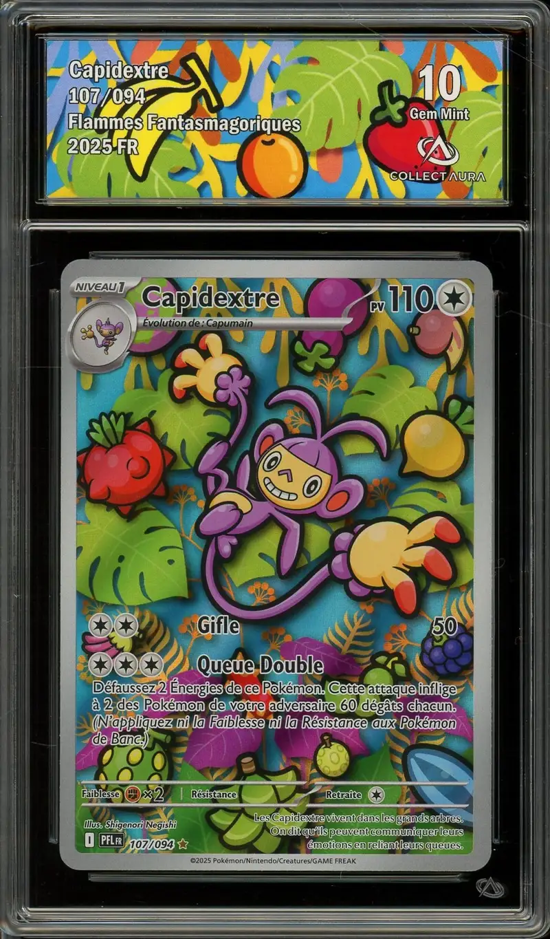 CA 10 Capidextre