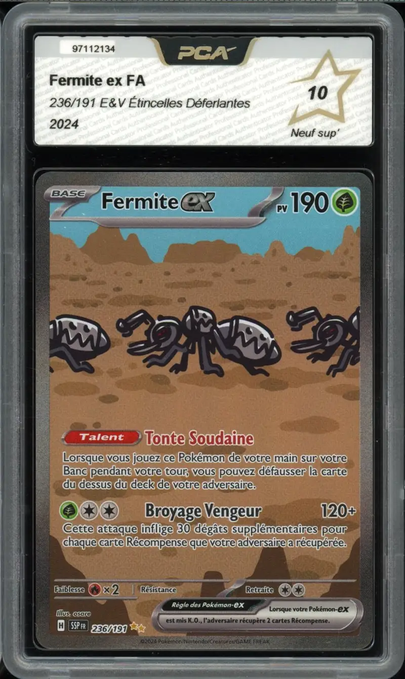 PCA 10 Fermite Ex