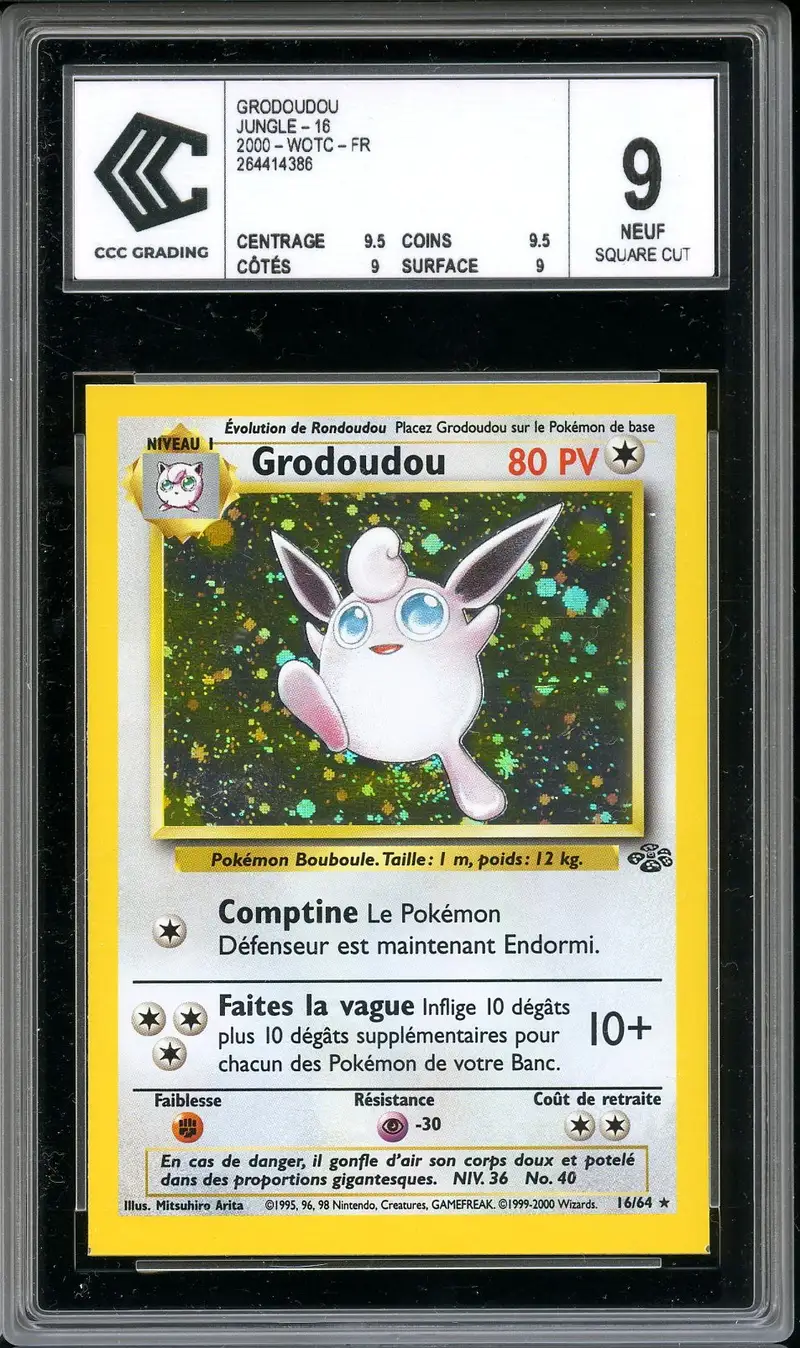 CCC 9 Grodoudou Holo