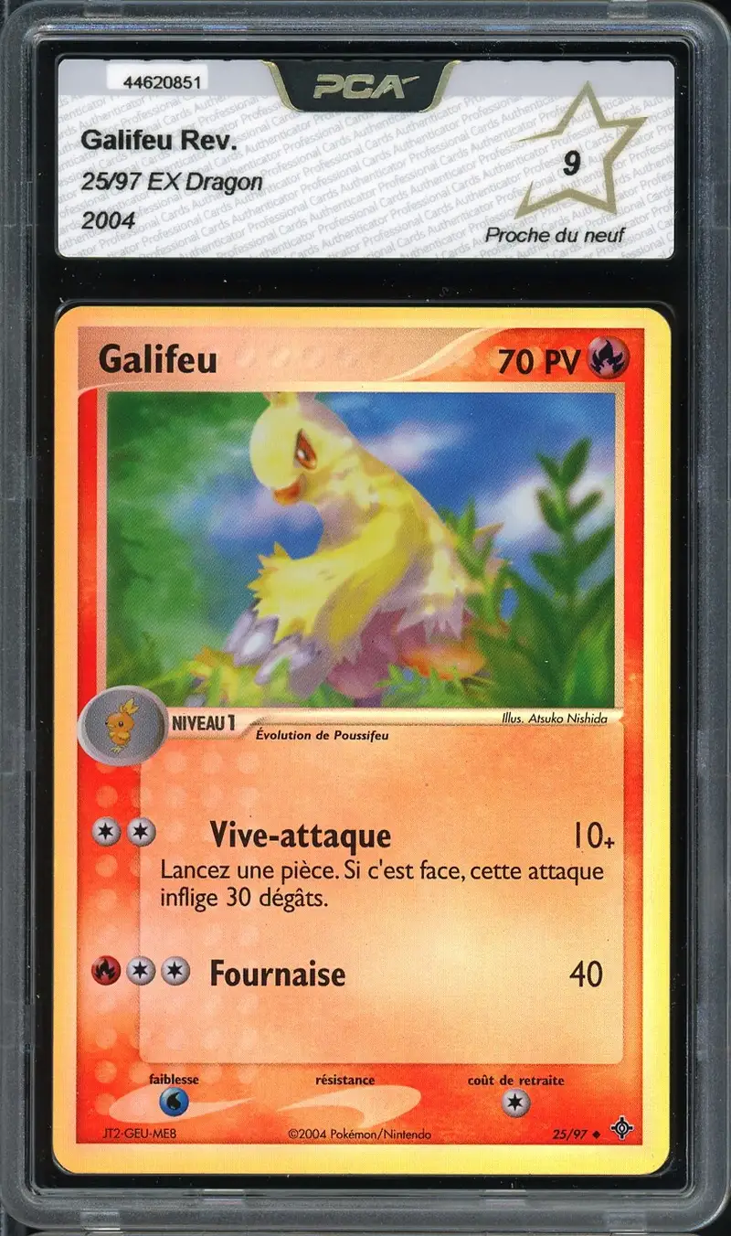 PCA 9 Galifeu Reverse