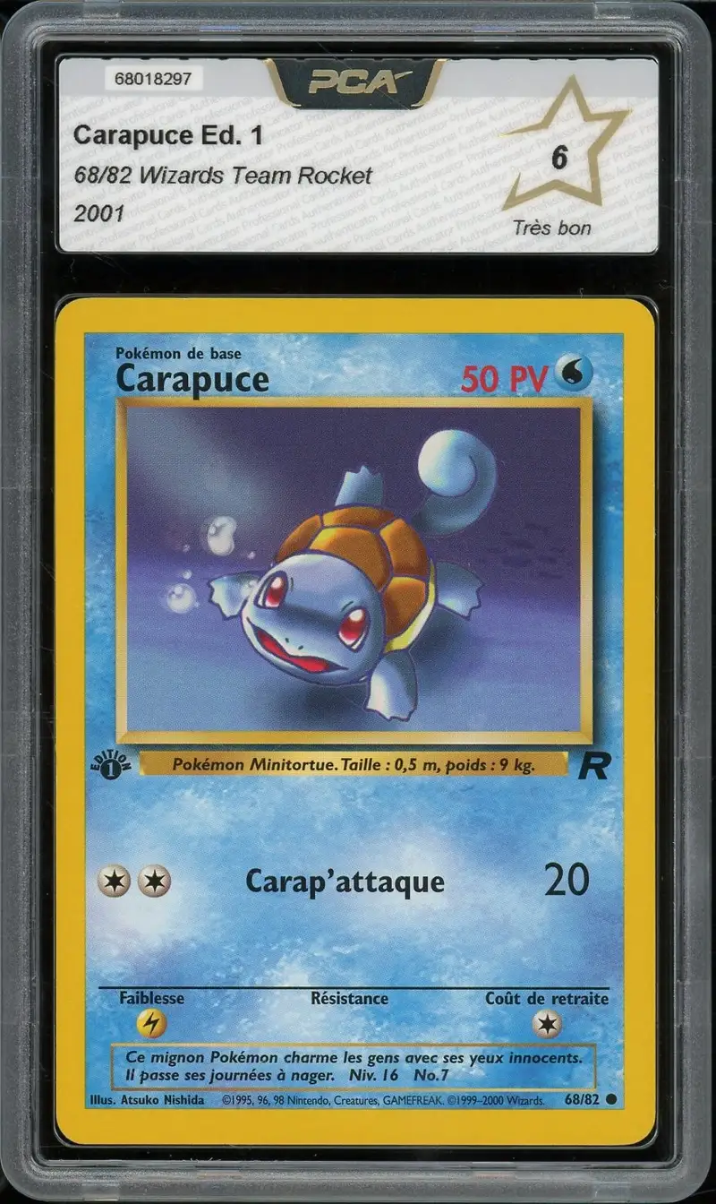 PCA 6 Carapuce