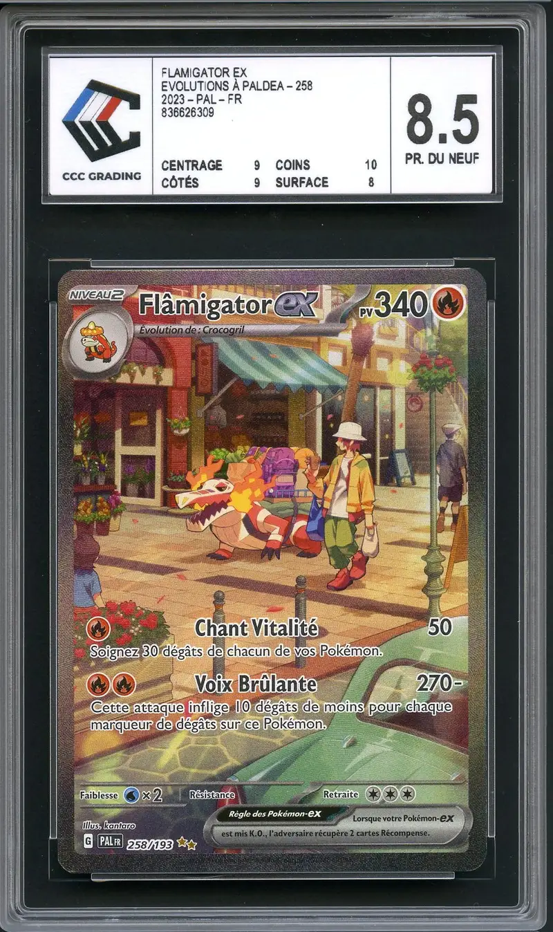 CCC 8.5 Flâmigator Ex