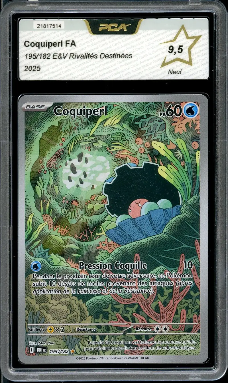 PCA 9.5 Coquiperl