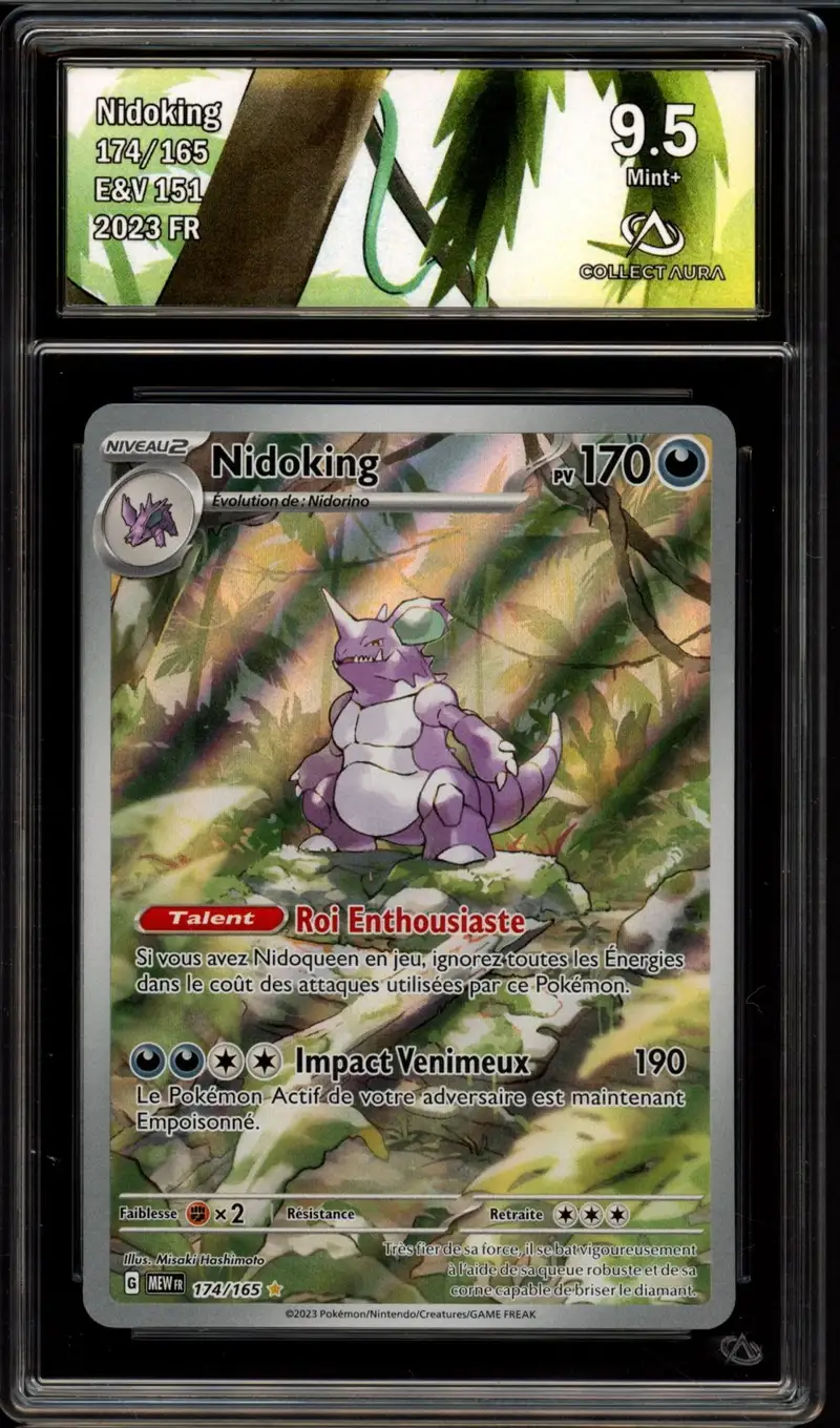 CA 9.5 Nidoking