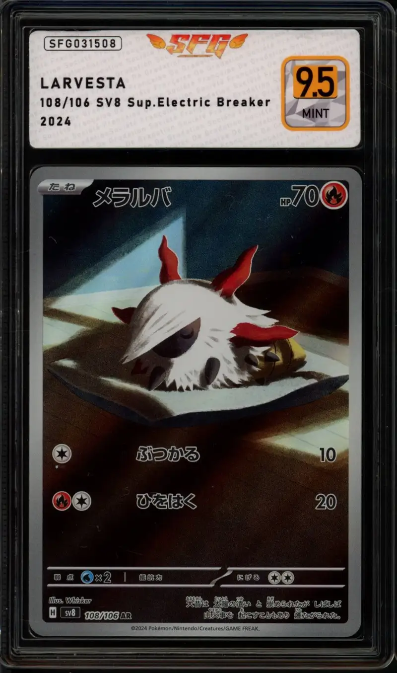 SFG 9.5 Larvesta
