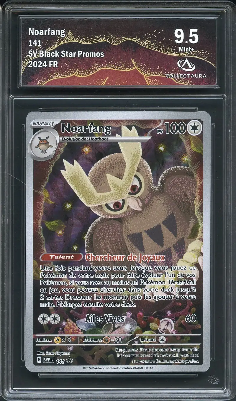 CA 9.5 Noarfang