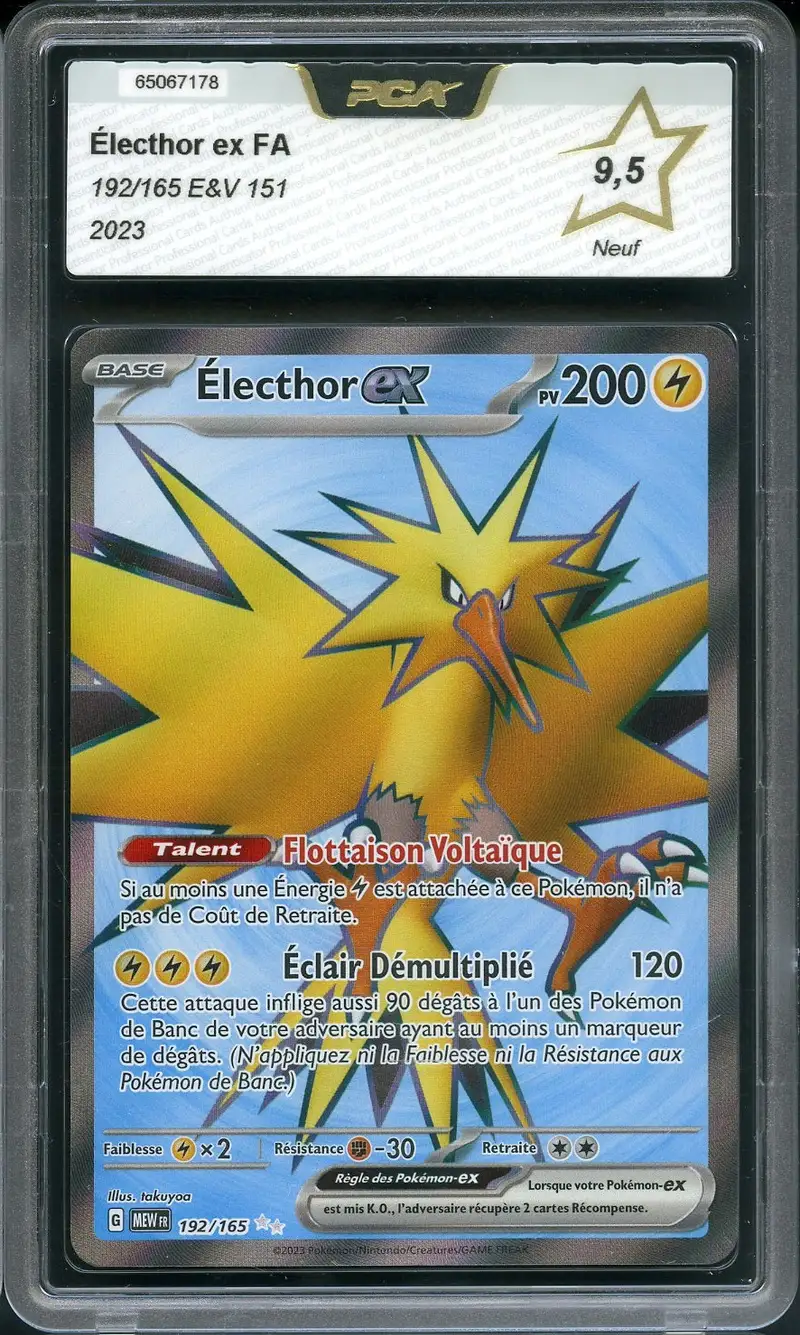 PCA 9.5 Electhor Ex