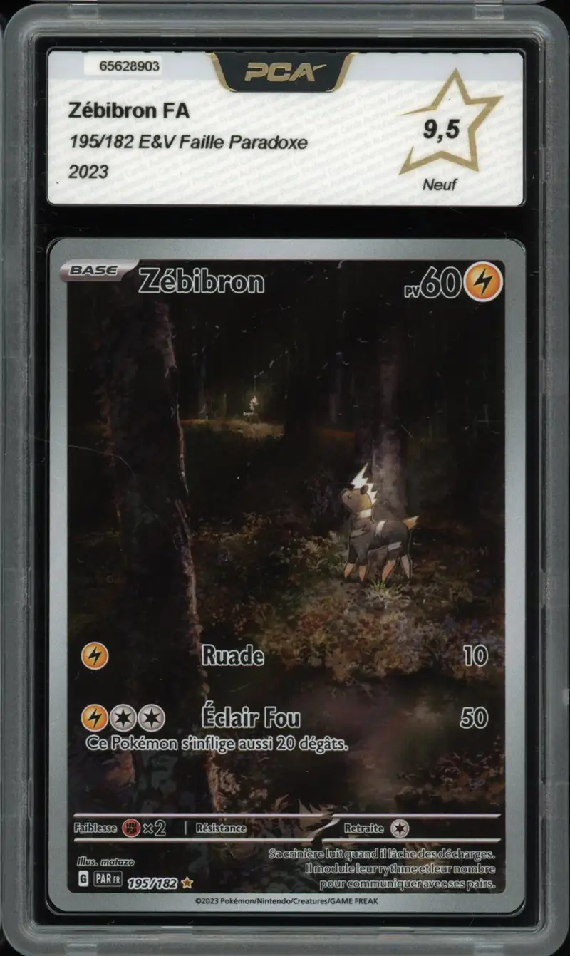 PCA 9.5 Zébibron