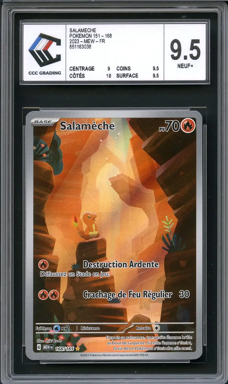 CCC 9.5 Salamèche