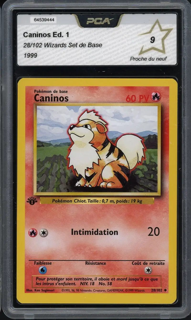 PCA 9 Caninos