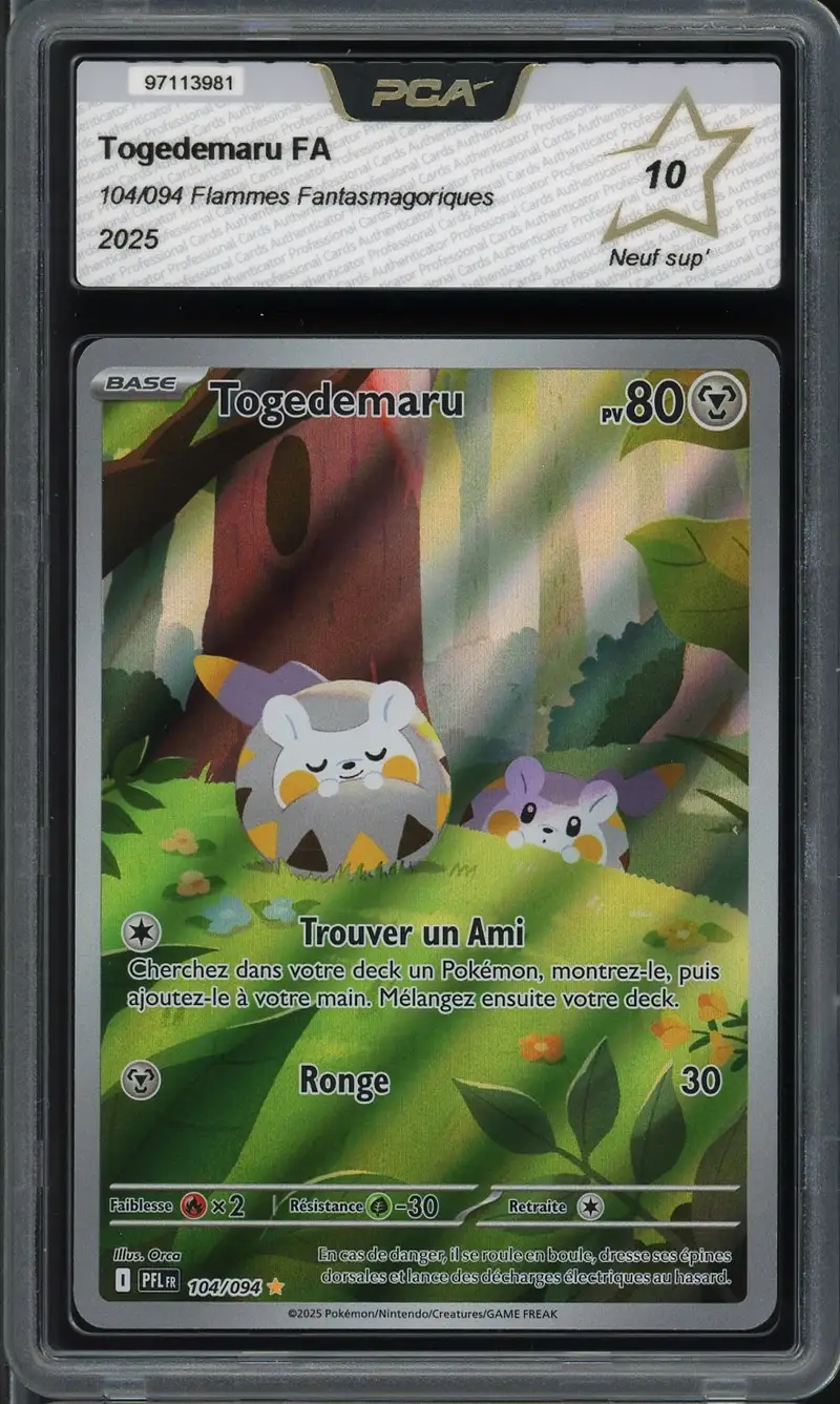 PCA 10 Togedemaru