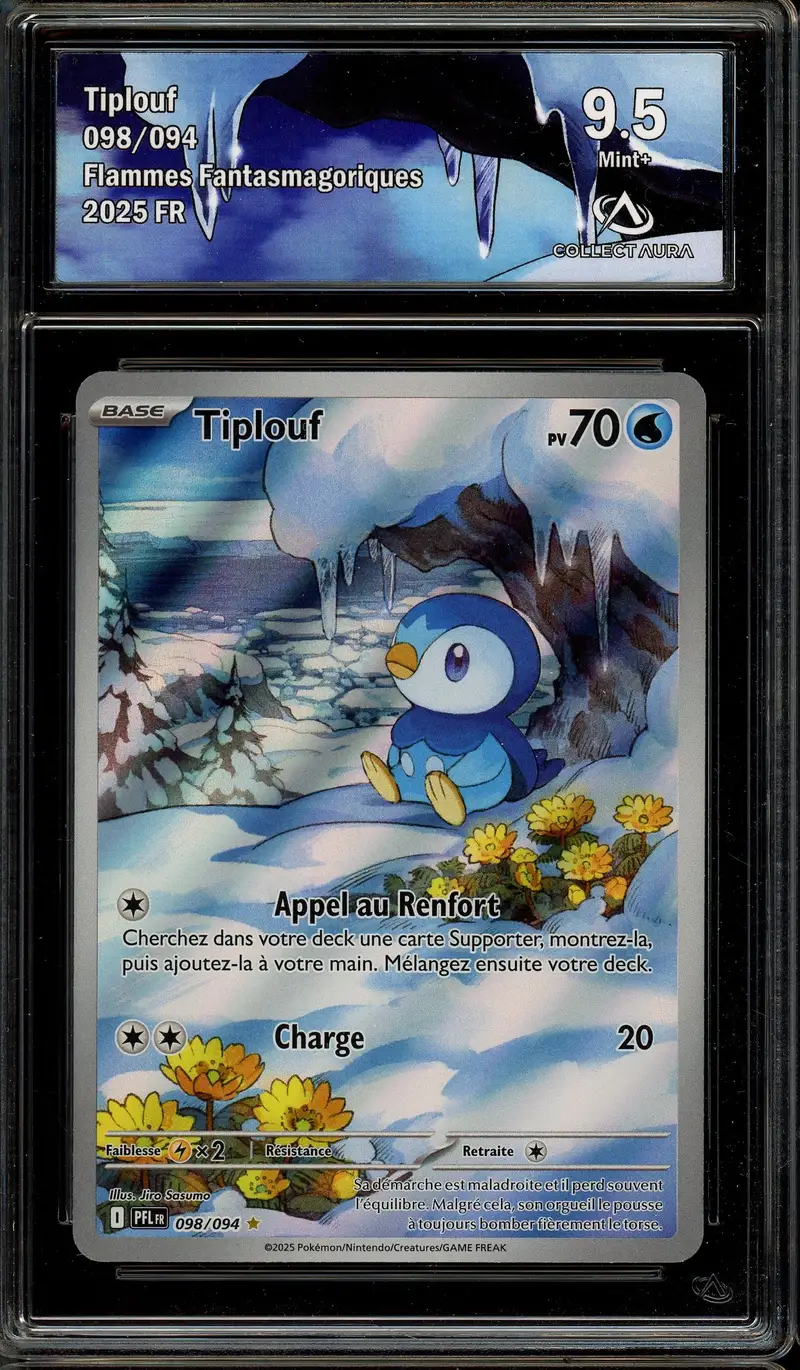 CA 9.5 Tiplouf