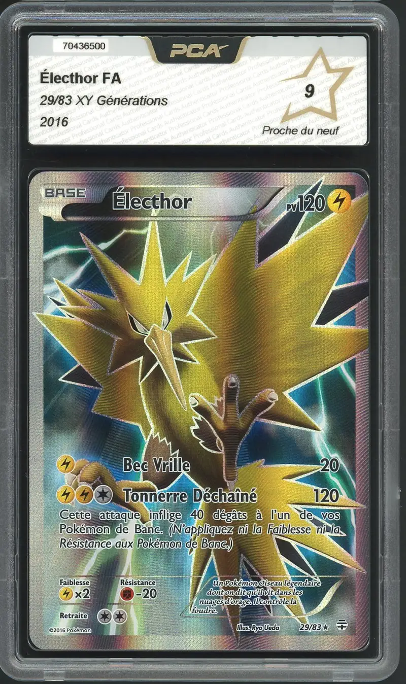 PCA 9 Electhor