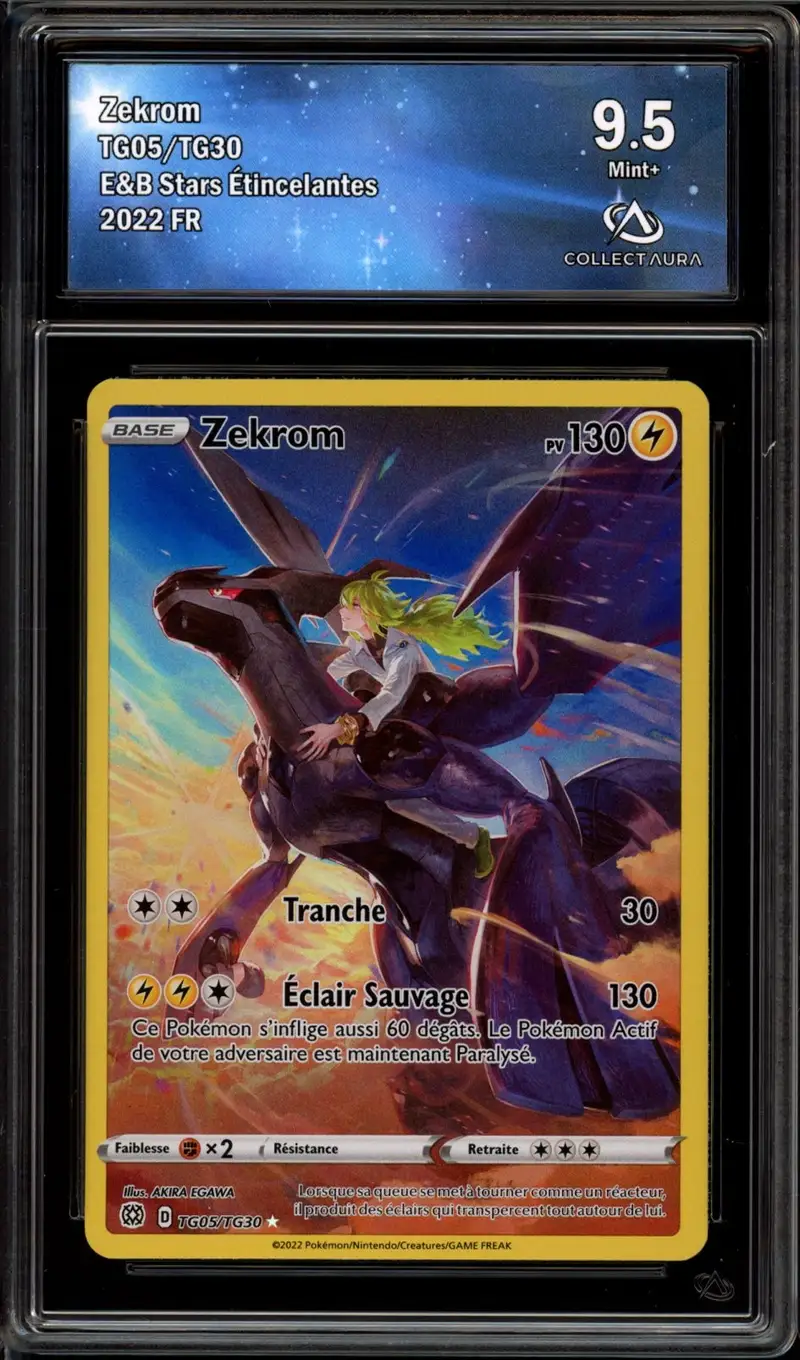 CA 9.5 Zekrom