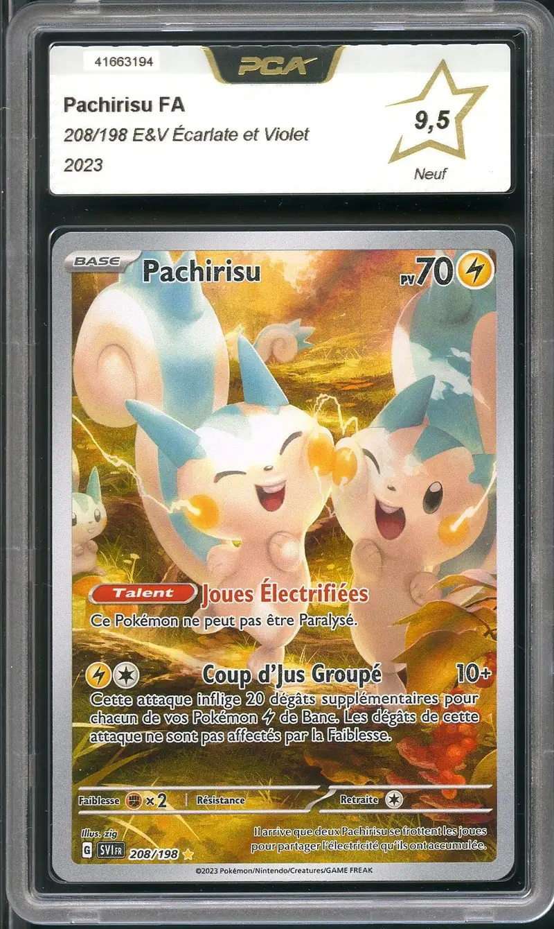 PCA 9.5 Pachirisu