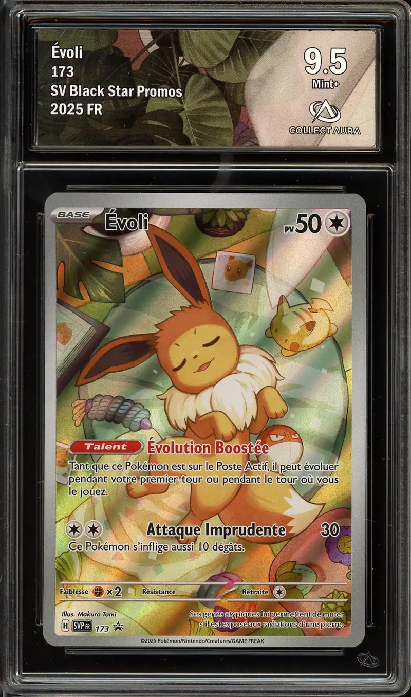 CA 9.5 Evoli
