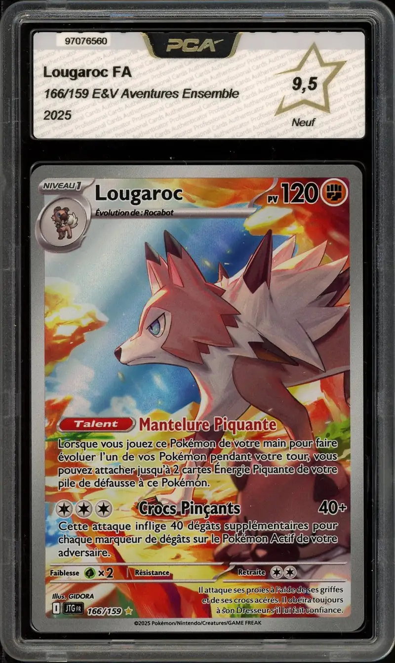 PCA 9.5 Lougaroc