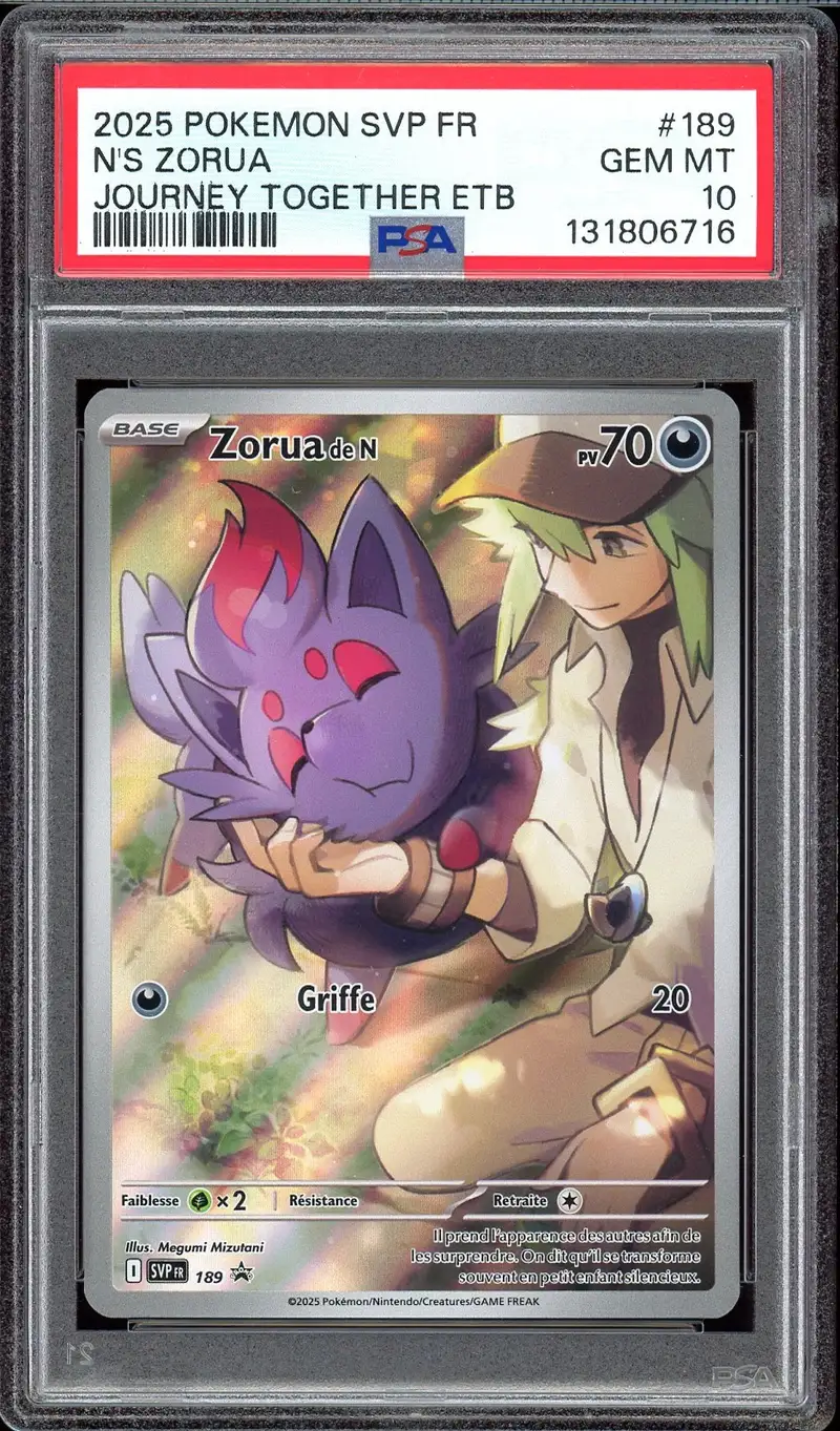 PSA 10 Zorua de N