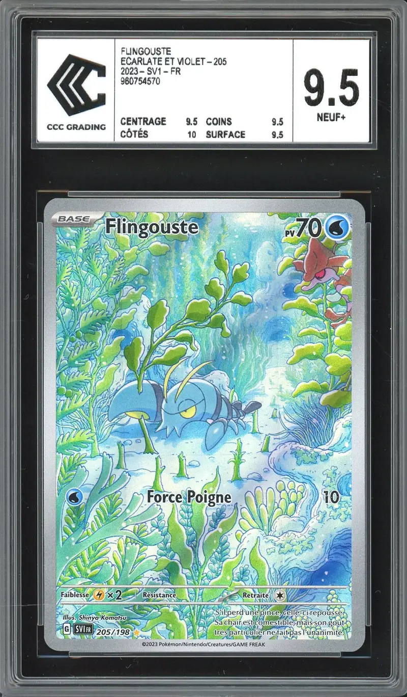 CCC 9.5 Flingouste