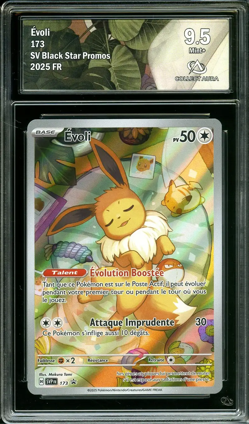 CA 9.5 Evoli