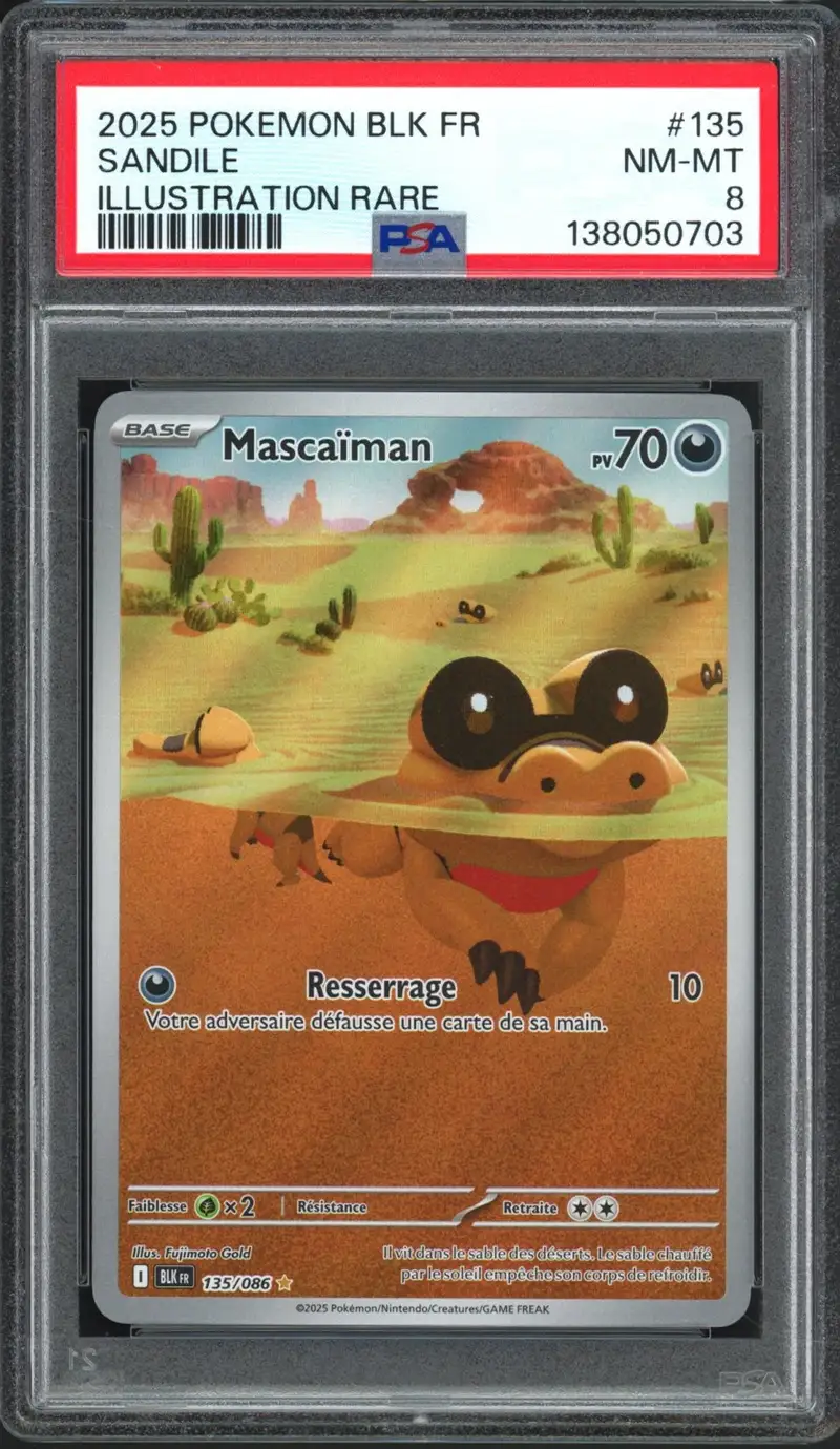 PSA 8 Mascaïman