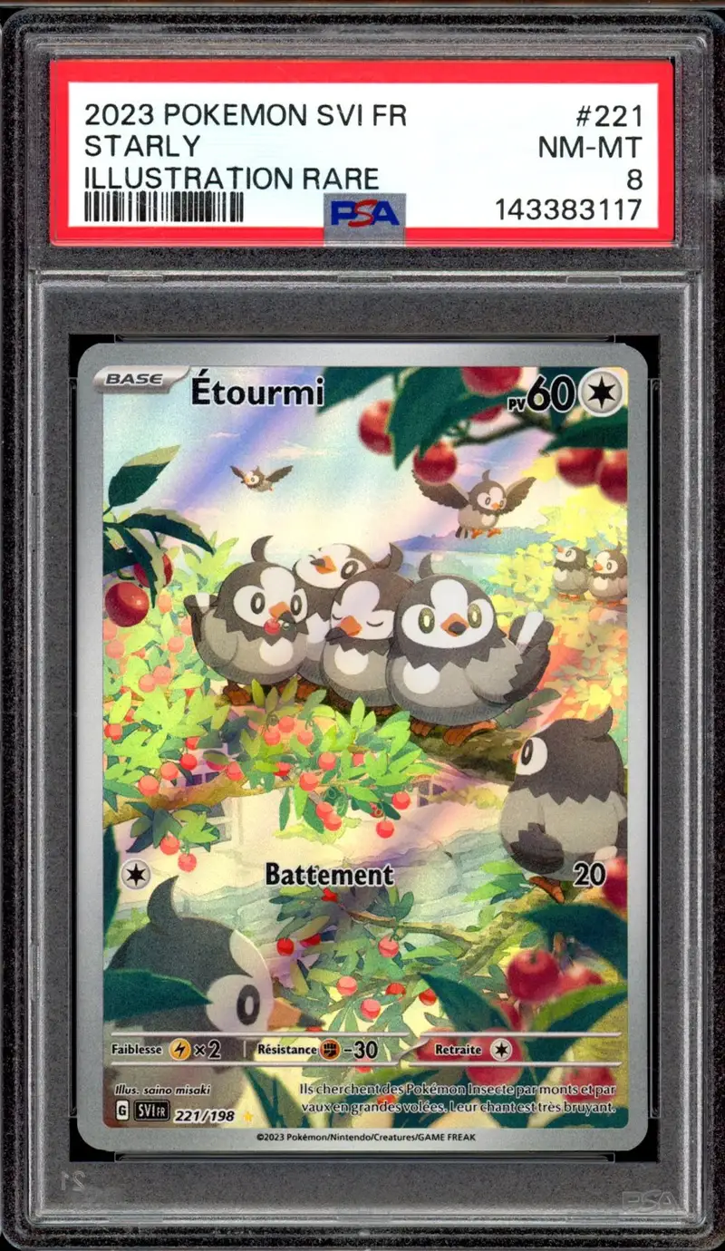 PSA 8 Etourmi