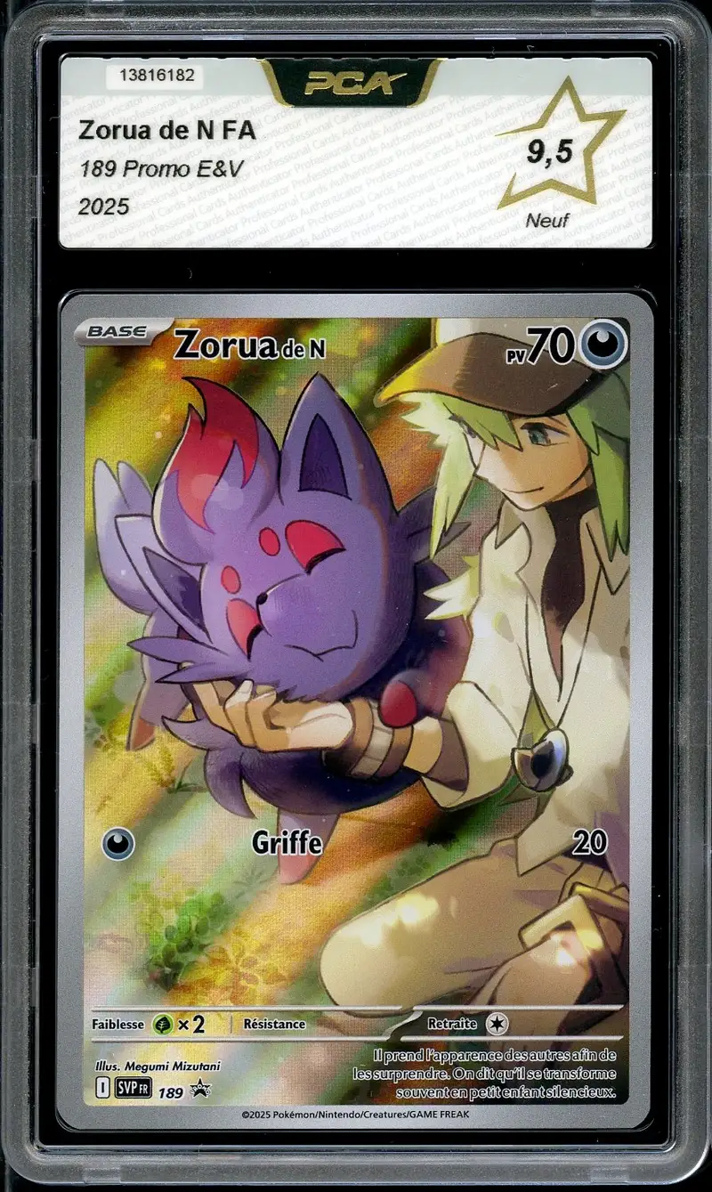 PCA 9.5 Zorua de N