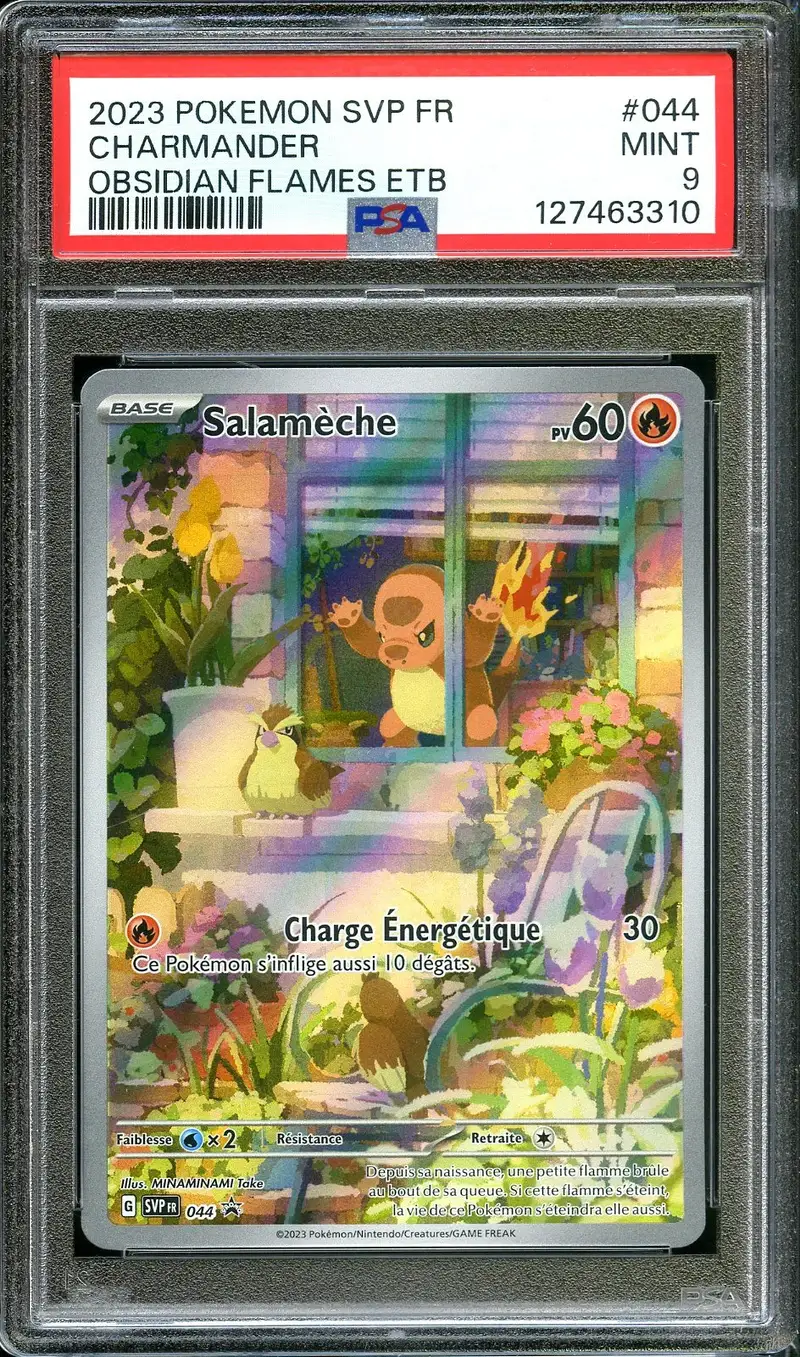 PSA 9 Salamèche