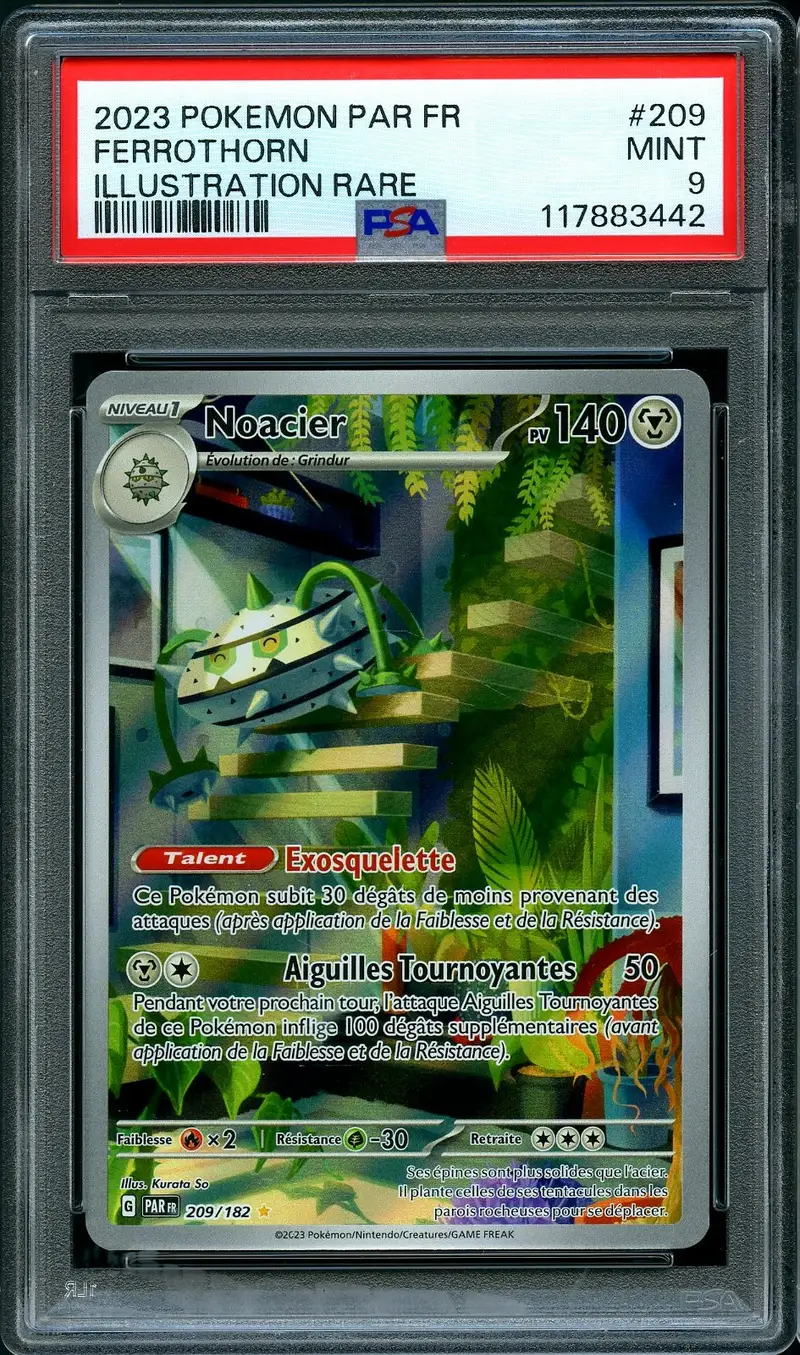 PSA 9 Noacier